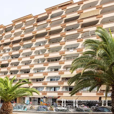 Apartment Flamingo On The South Next To The By Interhome *